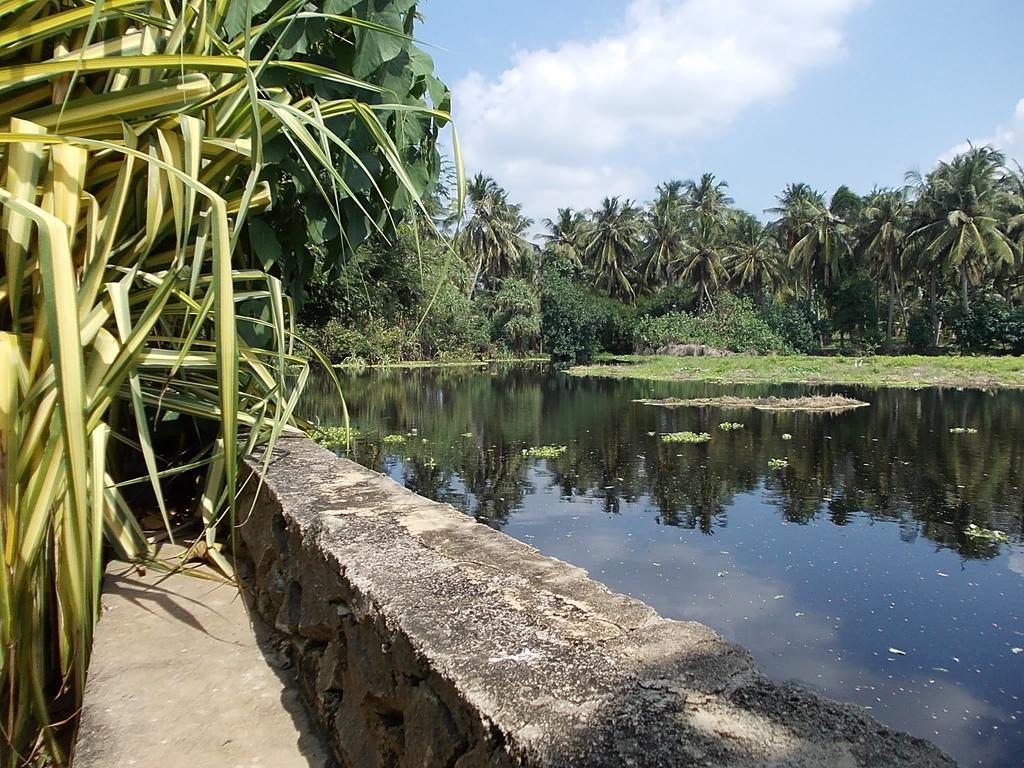Sri Beach Bungalows And Villa Marawila Exterior foto