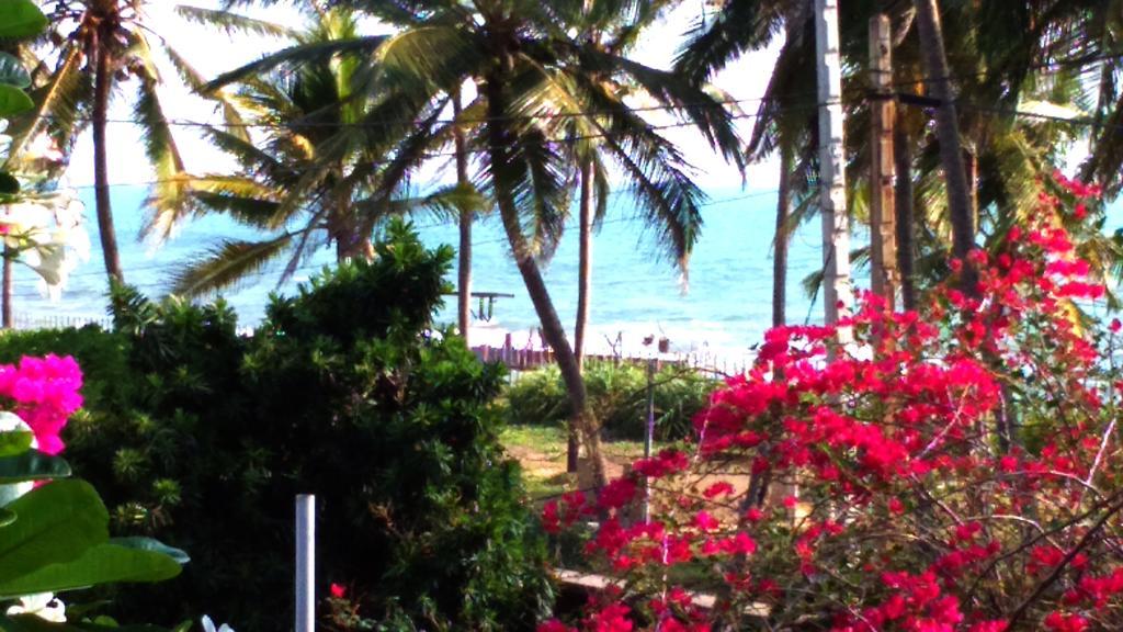 Sri Beach Bungalows And Villa Marawila Exterior foto